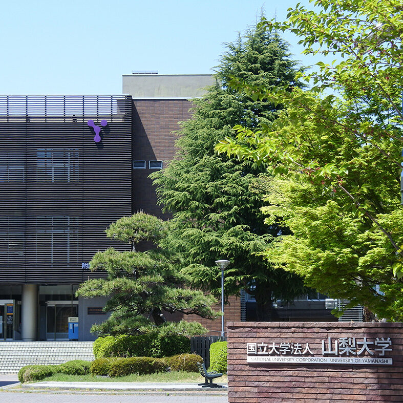 赤本　山梨大学　教育学部　医学部　工学部　2011年～2022年 12年分 山梨大学（教育学部・医学部〈看護学科〉・工学部・生命環境学部
