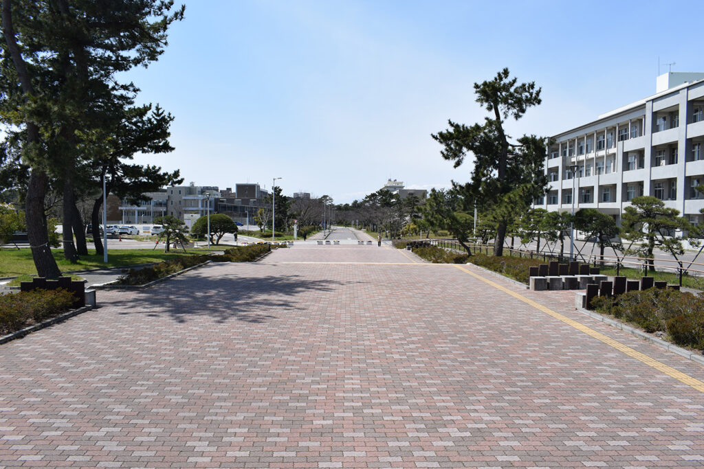 小新潟大学写真① 国立 医学部合格　医学部受験情報 医学部予備校 レクサス教育センター