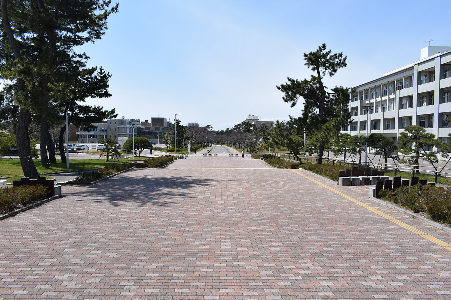 2026 新潟大学 医学部情報｜大学の特徴｜志望理由書や面接で