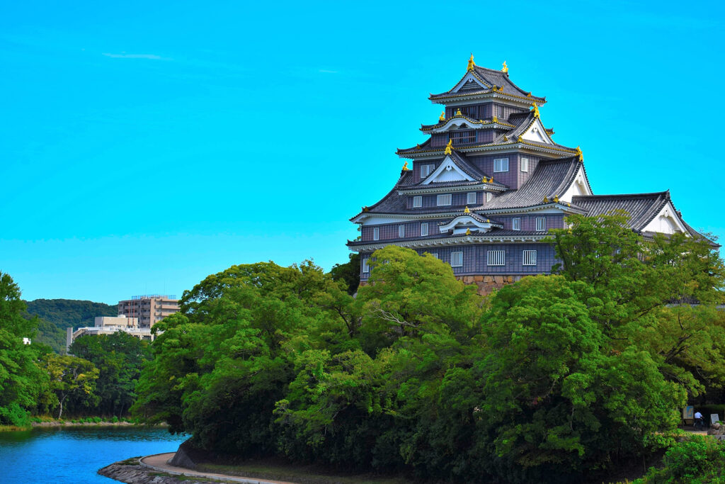 岡山大写真②小　 国立 医学部合格　医学部受験情報 医学部予備校 レクサス教育センター