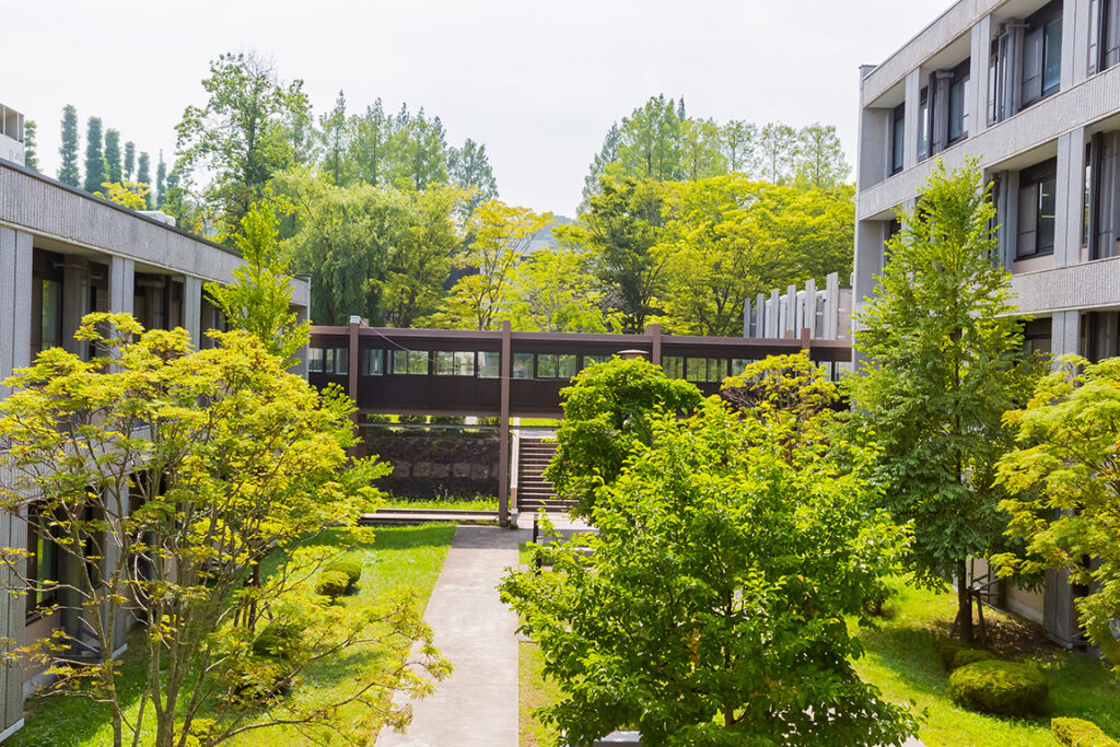 東北大学写真①小　 国立 医学部合格　医学部受験情報 医学部予備校 レクサス教育センター