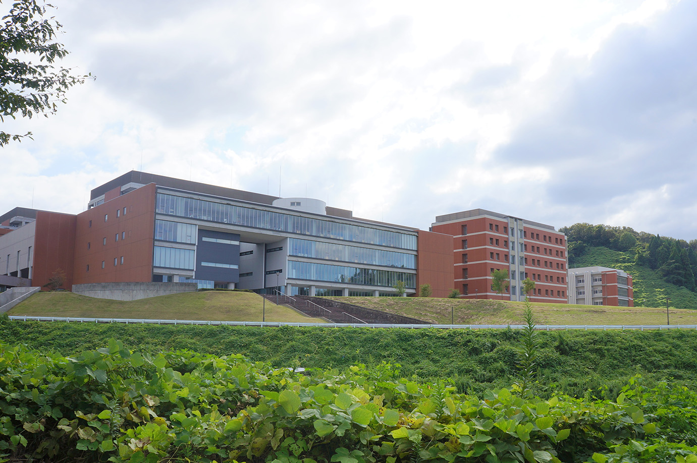 2026 金沢大学 医学部情報｜大学の特徴｜志望理由書や面接で役立つ情報